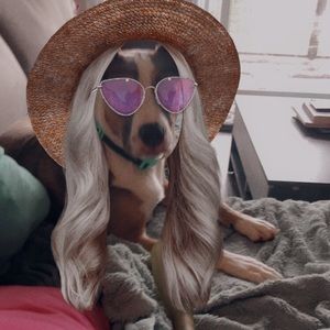 Meet your Posher, Mary